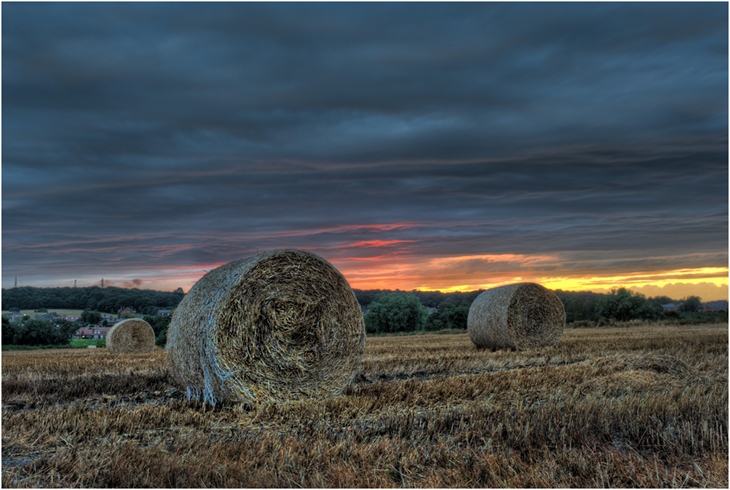 Hay Sunset